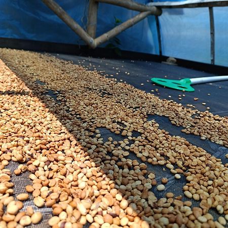 Casa Entera Finca Cometa San Agustín Eksteriør billede