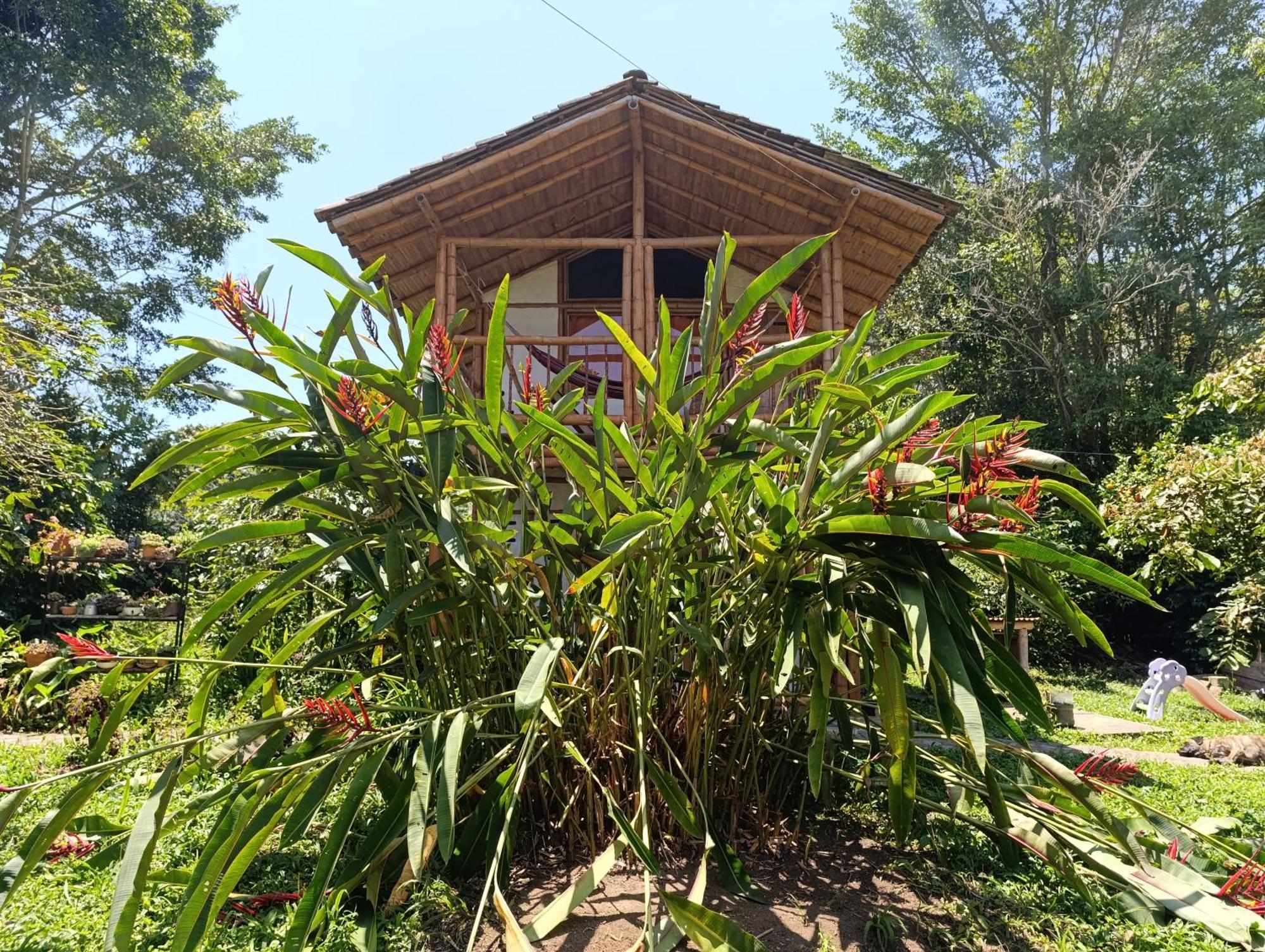 Casa Entera Finca Cometa San Agustín Eksteriør billede