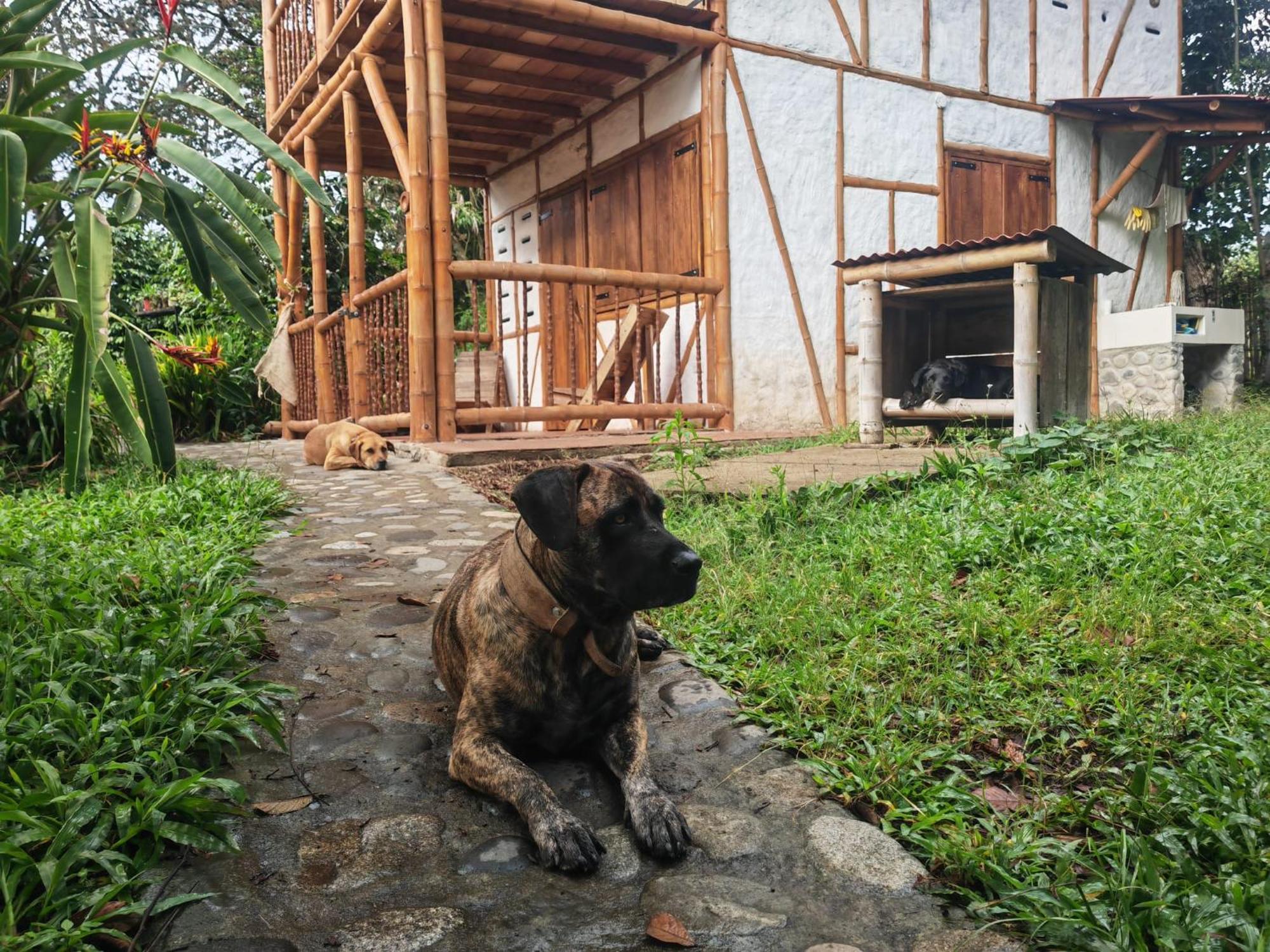 Casa Entera Finca Cometa San Agustín Eksteriør billede