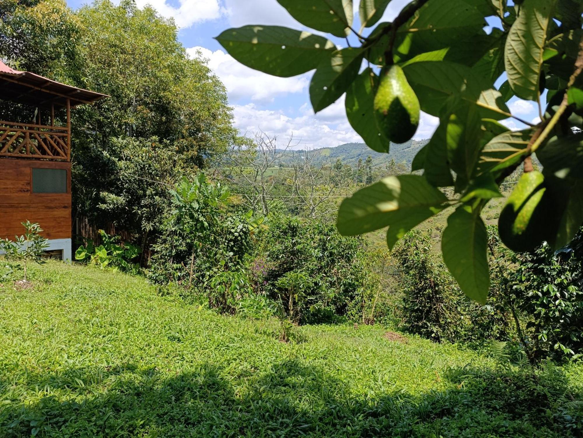 Casa Entera Finca Cometa San Agustín Eksteriør billede