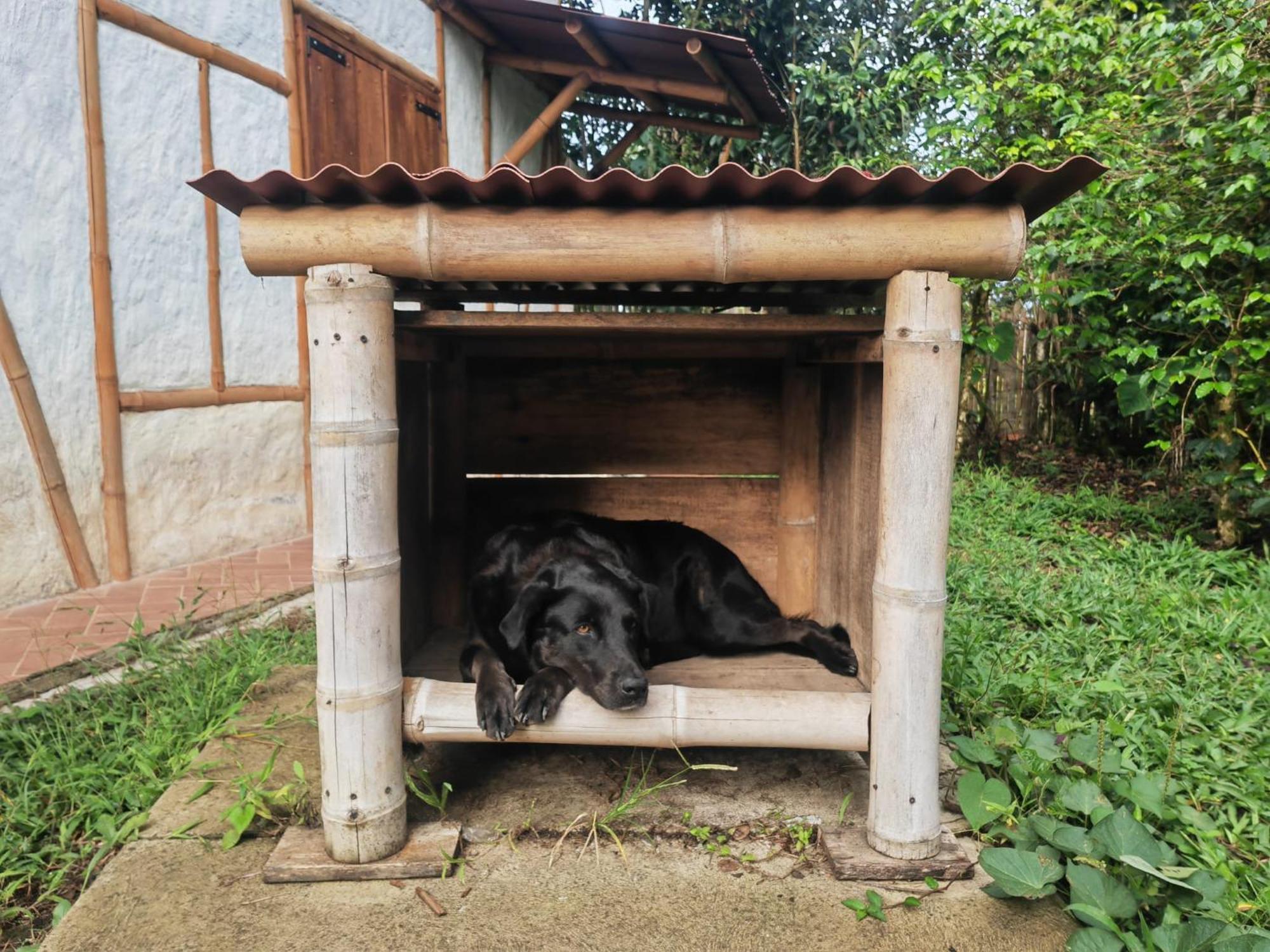 Casa Entera Finca Cometa San Agustín Eksteriør billede